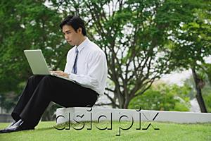 AsiaPix - Young businessman sitting in park using laptop