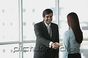 PictureIndia - Businessman and businesswoman shaking hands
